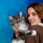 maine coon wiki et Tsilla