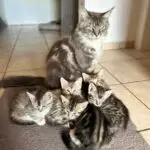 Portée 2024