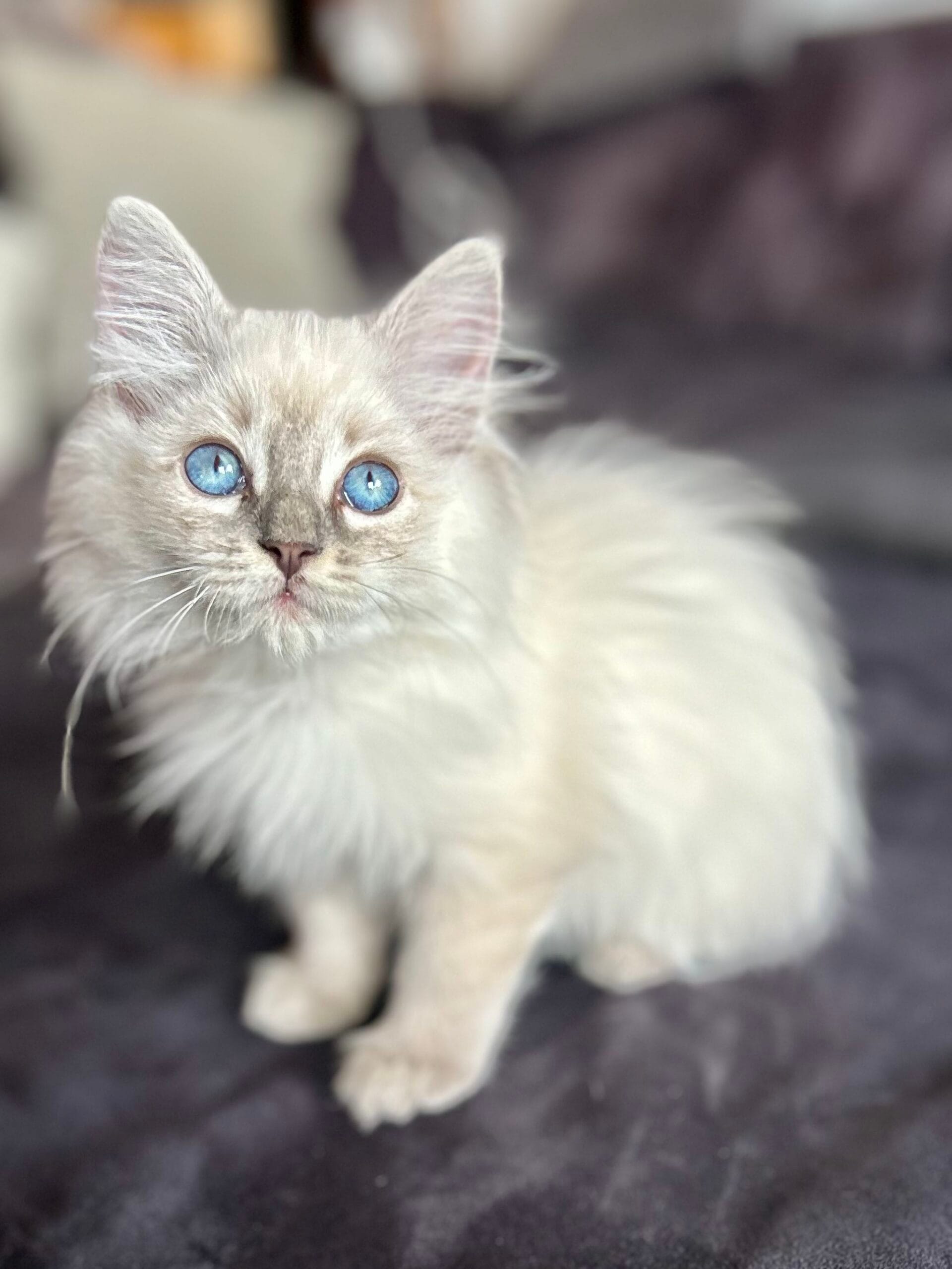 Tu as de beaux yeux tu sais?