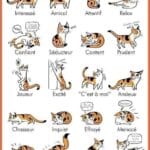 Posture du chat et emotions
