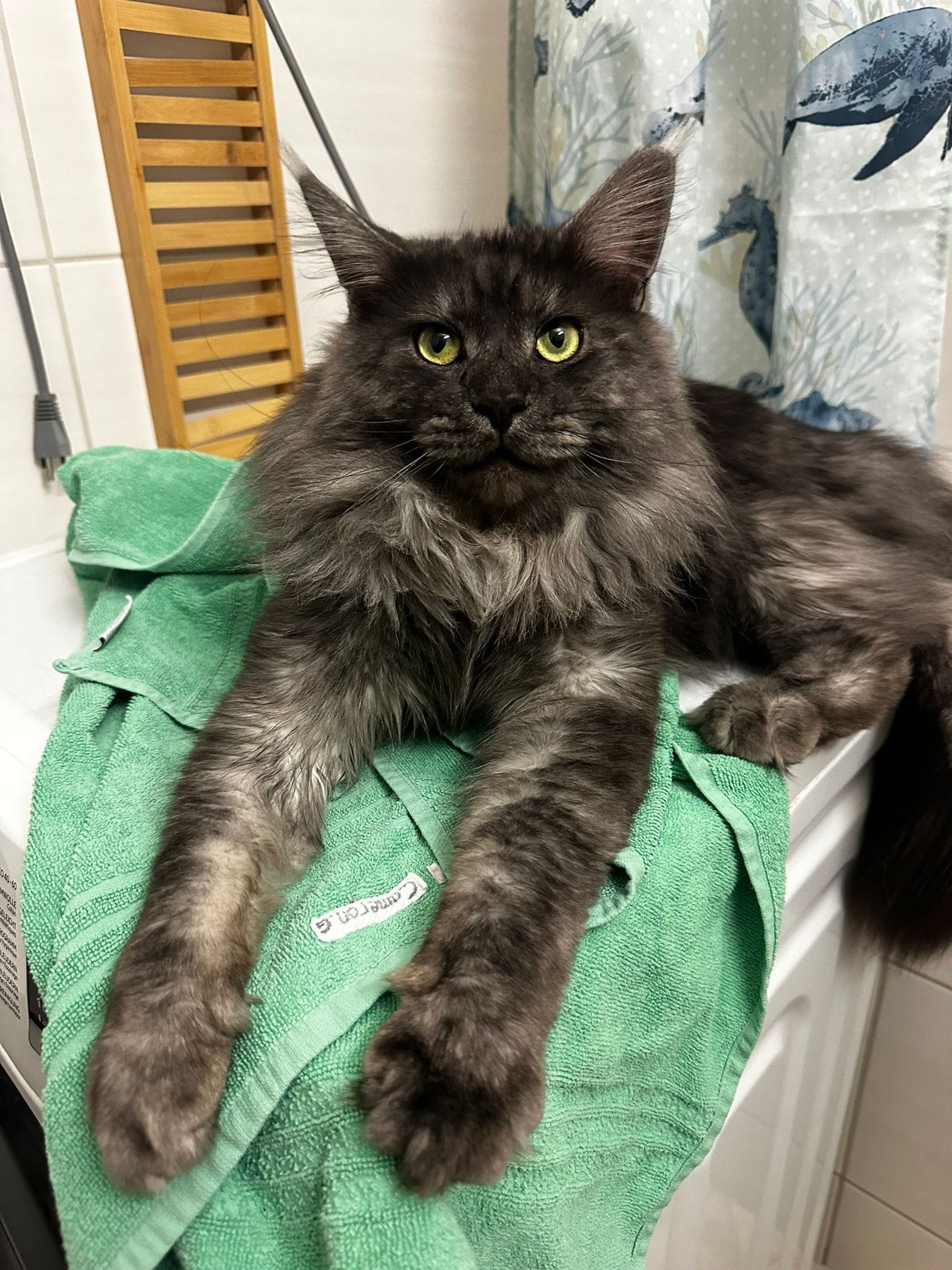 Socrate